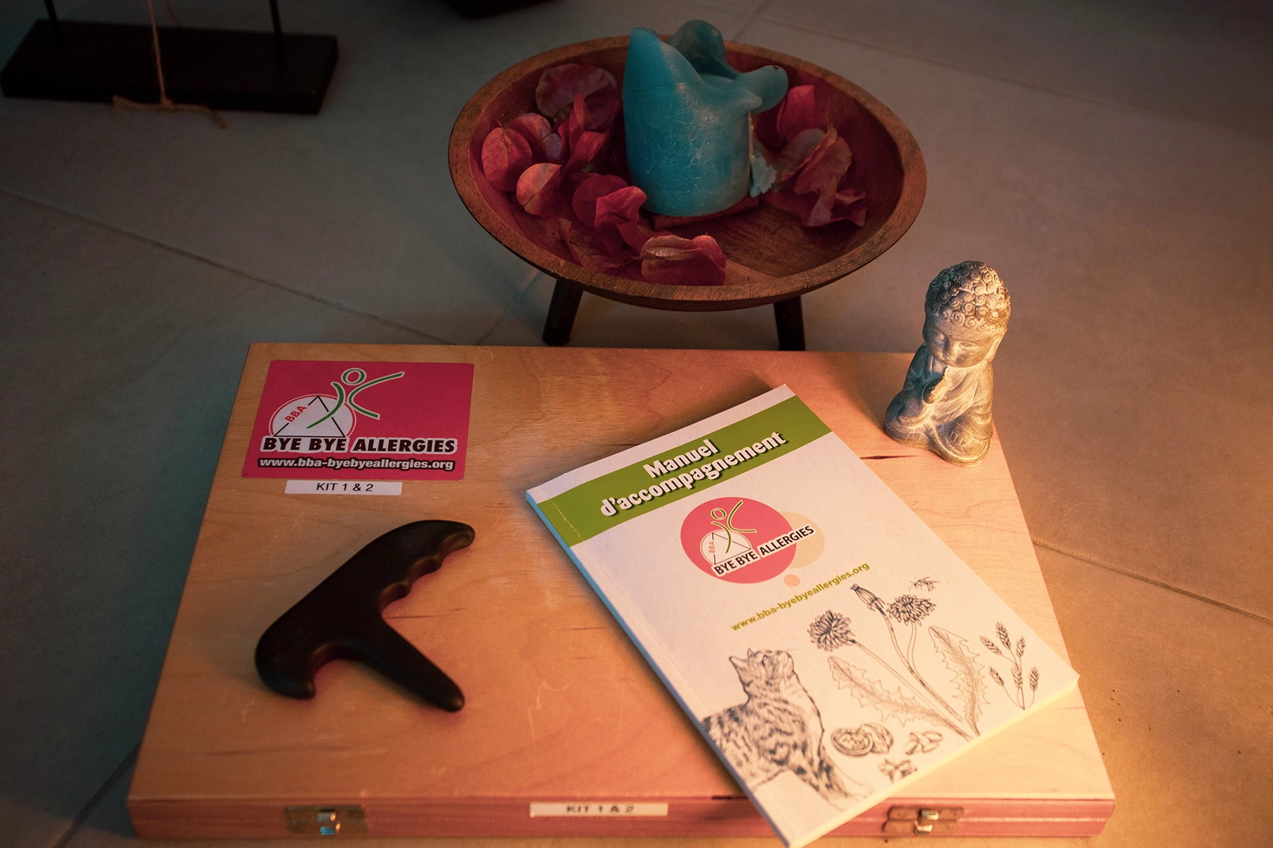 Livret Bye Bye Allergies® - Janick Hervé