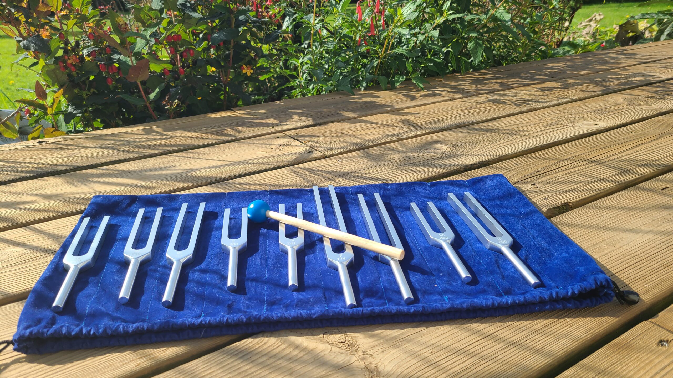 Les diapasons - Janick Hervé